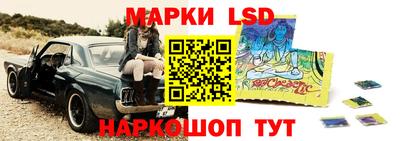 бошки Можга