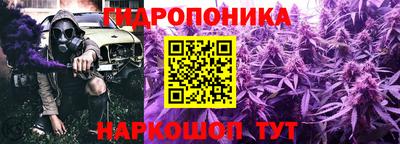 бошки Можга